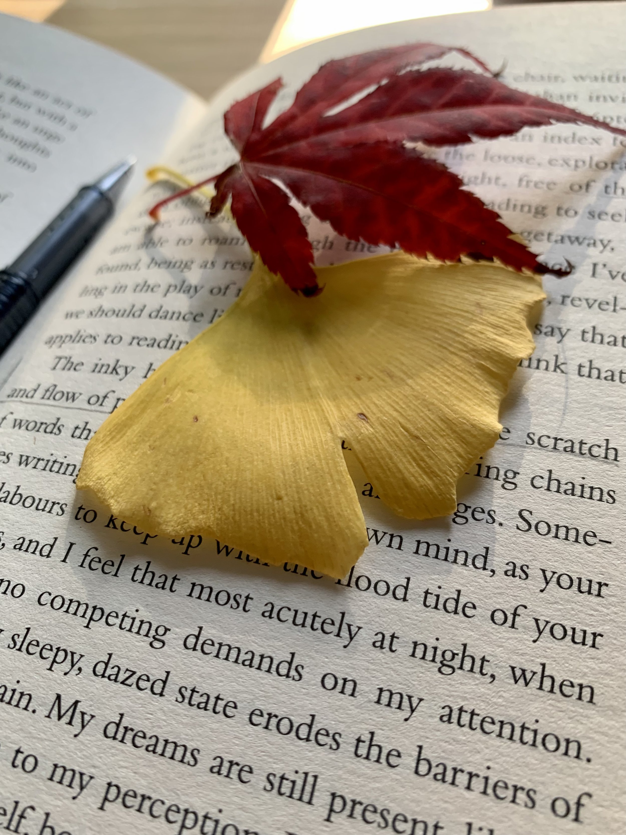 The Gifts of Winter